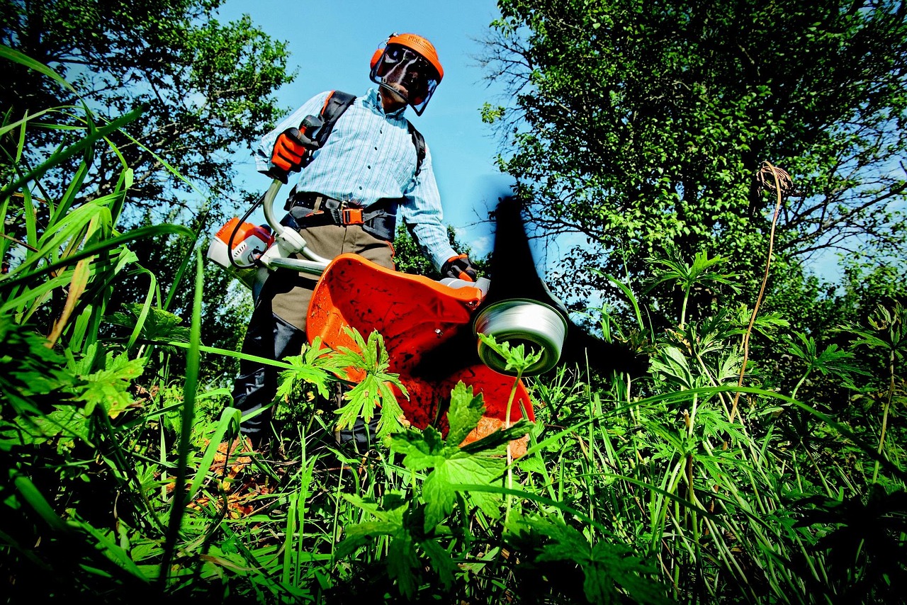 garden, nature, grass cutter, gardening, grass, man, outdoors, person, tools, gardener, green grass